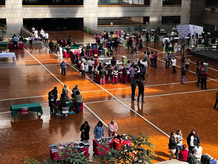 Conexion_emprendedora_mypime_14